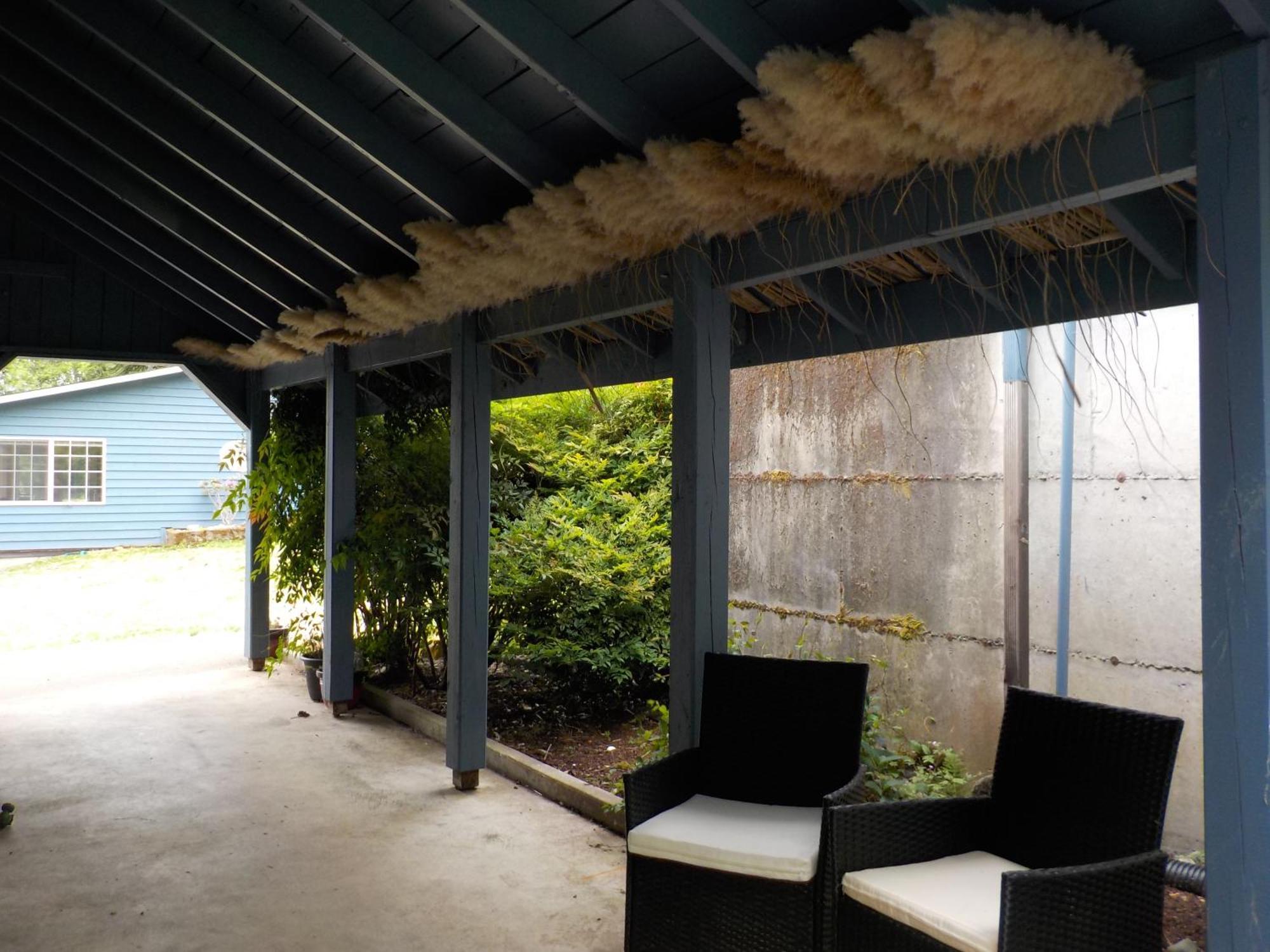 Oceanfront Studio/Loft: Alpacas, Oysters & Kayaks Shelton Kültér fotó